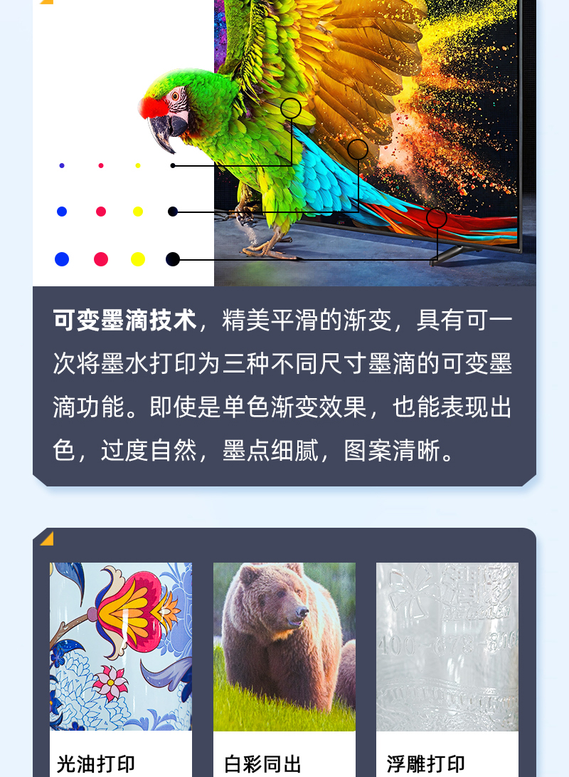 南宫电竞-不凡成就非凡,相信品牌的力量